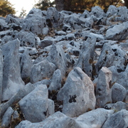 P7260668.JPG