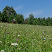 Sokobanja