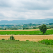 Sokobanja